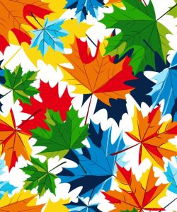 Maple Autumn Leaves